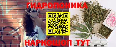 ПСИЛОЦИБИНОВЫЕ ГРИБЫ Ирбит