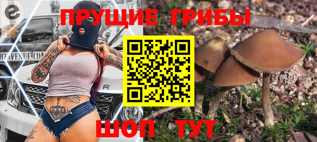 Галлюциногенные грибы Cubensis  Псилоцибиновые грибы MAGIC MUSHROOMS  Мончегорск  Вход с VPN 
