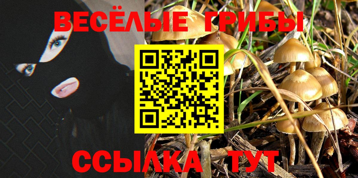 Псилоцибиновые грибы мицелий Мончегорск